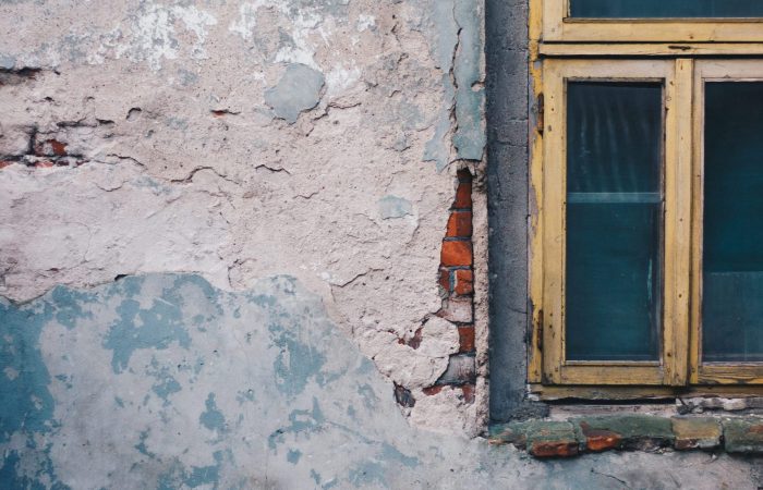 elvis-bekmanis-Jc1BXsF1dcc-unsplash